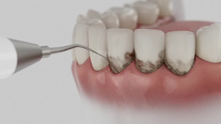 Reliable Dental contractor in Berea, KY by Dentist Open Now